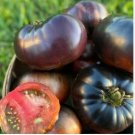 Black Striped Tomato Organic 100 PCS Seeds Black Striped Tomato Organic 100 PCS Seeds