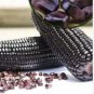 Black Sweet Waxy Corn Fruits 12 PCS Seeds