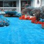 Blue Grass Seeds Perennial 500 PCS Seeds