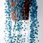 Blue Pearl Chlorophytum Bonsai 200 PCS Seeds