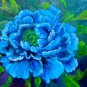 Blue Peony rare ornamental new dark blue big blooms 5 PCS Seeds
