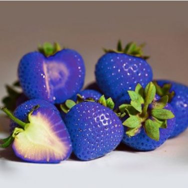 Blue Strawberry 500 PCS Seeds