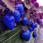 Blue Strawberry 500 PCS Seeds