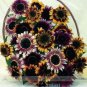 Bohemian Phapsody F1 Sunflower 15 PCS Seeds