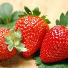 Bonai Giant Strawberry 40 PCS Seeds