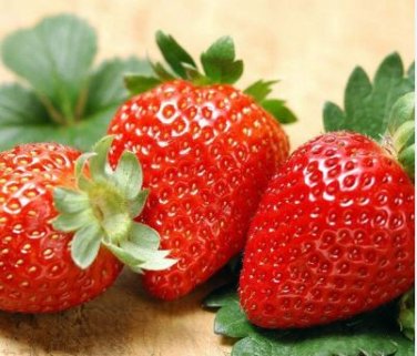 Bonai Giant Strawberry 40 PCS Seeds