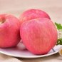 Bonsai Apple Tree Seeds Garden Yard Outdoor Living Fruit Plant 10 PCS Seeds