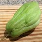 Bonsai Chayote Succulent Pumpkin Fruit Vegetables Bonsai Potted Plant for Flower 30 PCS Seeds