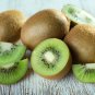 Bonsai Kiwi Fruit 100 PCS Seeds