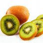 Bonsai Kiwi Fruit 100 PCS Seeds