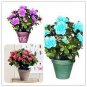 Bonsai Rhododendron Azalea Flower 100 PCS Seeds