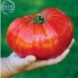 Bonsai Tomato Giant 36 Types of Vegetable Fruits 100 PCS Seeds