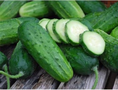 Boston Pickling Cucumber 5 PCS Seeds