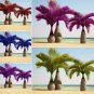 Bottle Palm Blue Color 20 PCS Seeds