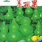 Bright Green Ornamental Bottle Gourd Organic 10 PCS Seeds
