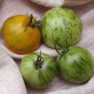 Bright Green White Zebra Tomato 100 PCS Seeds