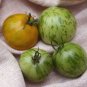 Bright Green White Zebra Tomato 100 PCS Seeds