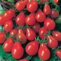 Bright Red Pear Cherry Tomato Organic 200 PCS Seeds