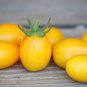 Bright Yellow Cherry Tomato 'Saintess' Organic 300 PCS Seeds