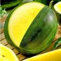 Bright Yellow Watermelon 40 PCS Seeds