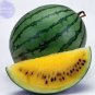 Bright Yellow Watermelon 40 PCS Seeds