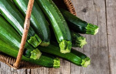 British Summer Courgette Hybrid 10 PCS Seeds