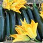 British Summer Courgette Hybrid 10 PCS Seeds