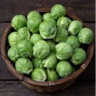 Brussel Sprouts Italian Mezzo Nano Vegetables 100 PCS Seeds Brussel Sprouts Italian Mezzo Nano Vegetables 100 PCS Seeds