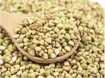 Buckwheat Edible Green Herb Foods 30 PCS Seeds