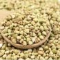 Buckwheat Edible Green Herb Foods 30 PCS Seeds