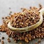 Buckwheat Edible Green Herb Foods 30 PCS Seeds