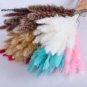 Bulish Black Pampas Grass 400 PCS Seeds