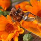 Calendula Orange Pot Marigold Flower 30 PCS Seeds