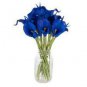 Calla Flower Plants Rare Bonsai Calla Lily Flower Planting (Not Calla Bulbs) 100 PCS Seeds