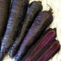 Carrot Purple Sun F1 Seeds Professional Pack organic tasty vegetables 500 PCS Seeds