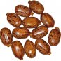Castor Bean 100 PCS Seeds