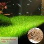 Ceratophyllum Seeds Aquarium Grass Ornamental 500 PCS Seeds