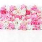 Champagne Hydrangea Seeds Fresh Pink Flowers 20 PCS Seeds