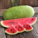 Charleston Grey Giant Long Watermelon 20 PCS Seeds
