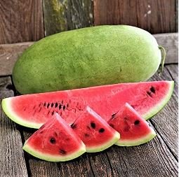 Charleston Grey Giant Long Watermelon 20 PCS Seeds