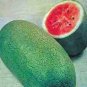 Charleston Grey Giant Long Watermelon 20 PCS Seeds