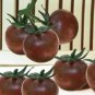 Cherokee Cherry Tomato 20 PCS Seeds