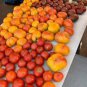 Cherokee Purple Black Red Yellow Green Cherry Peach Pear Tomato 30 PCS Seeds