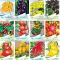Cherokee Purple Black Red Yellow Green Cherry Peach Pear Tomato 30 PCS Seeds