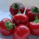 Cherry Bomb Red Hot Chile Pepper 20 PCS Seeds Cherry Bomb Red Hot Chile Pepper 20 PCS Seeds