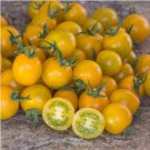 Cherry Tomato Mini Golden Round Fruit 100 PCS Seeds Cherry Tomato Mini Golden Round Fruit 100 PCS Seeds