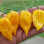 Chili Habanero Lemon Hot Pepper yellow organic non-gmo vegetables 15 PCS Seeds