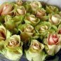 China Rare Dancing queen rose seeds Rose Flower Romantic 200 PCS Seeds