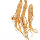 Chinese korean Panax Ginseng 10 PCS Seeds Chinese korean Panax Ginseng 10 PCS Seeds