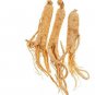 Chinese  korean Panax Ginseng 10 PCS Seeds